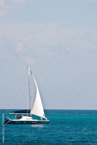 Blue and White Sailboat on Azure Water © dbvirago