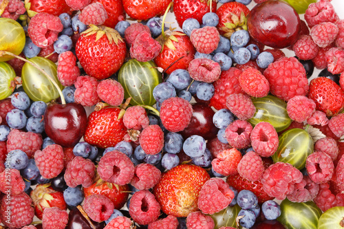 Billede på lærred different kinds of berries