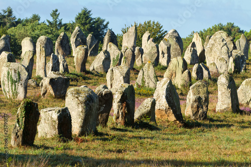 carnac monoliths in brittany, france photo