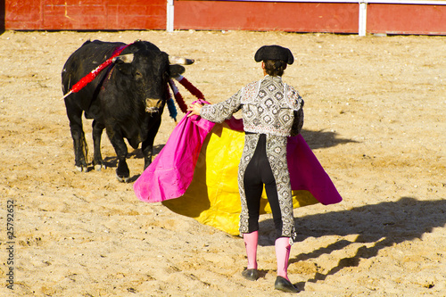 Matador and bull in bullfight. Madrid, Spain.