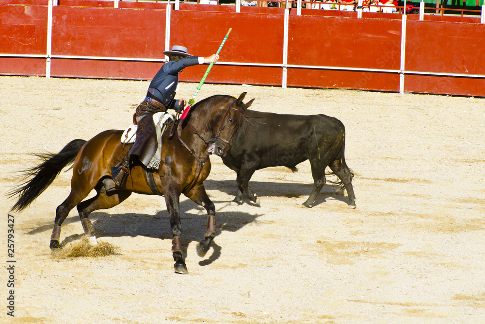 Bullfight on horseback. Typical Spanish bullfight.