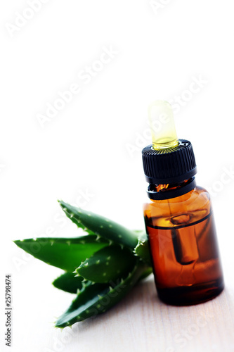 aloe vera esential oil photo