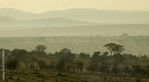 Scenic view of the Serengeti, Tanzania, Africa