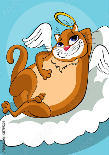 Cat an angel