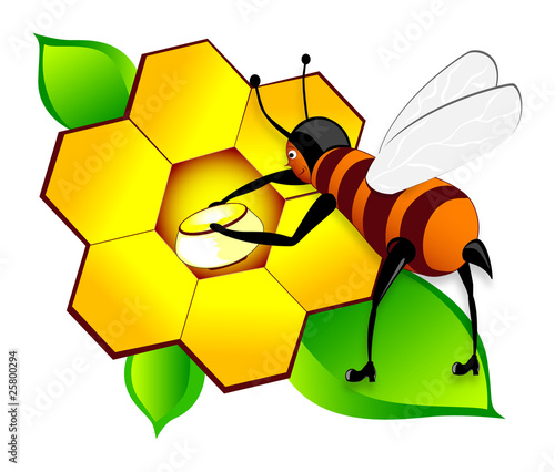 Little bee working on honeycomb