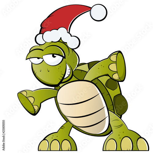 schildkröte weihnachten cartoon