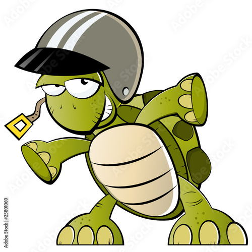 schildkröte rennfahrer cartoon lustig