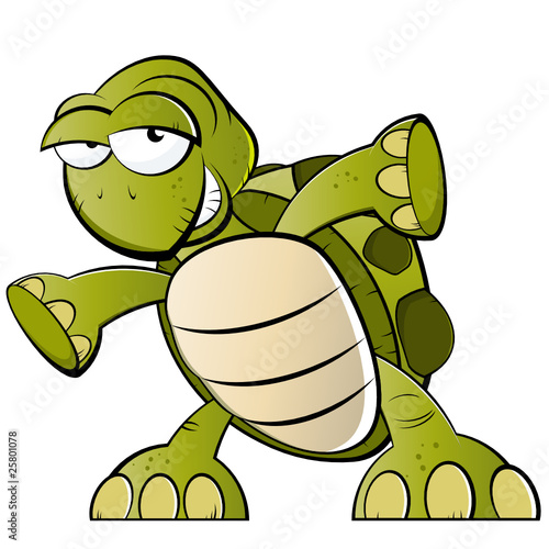 schildkröte cartoon lustig