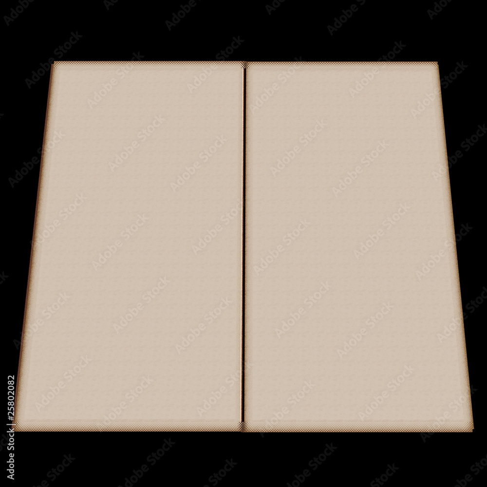 open book with blank open book with blank