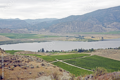 A valley view of osooyos lake.