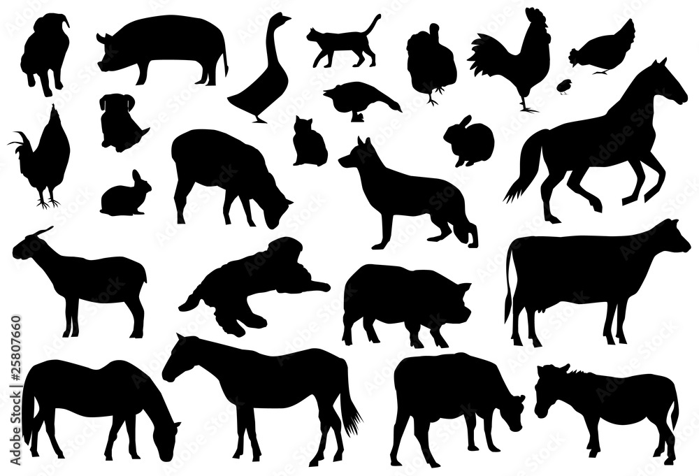 farm animals farm animals
