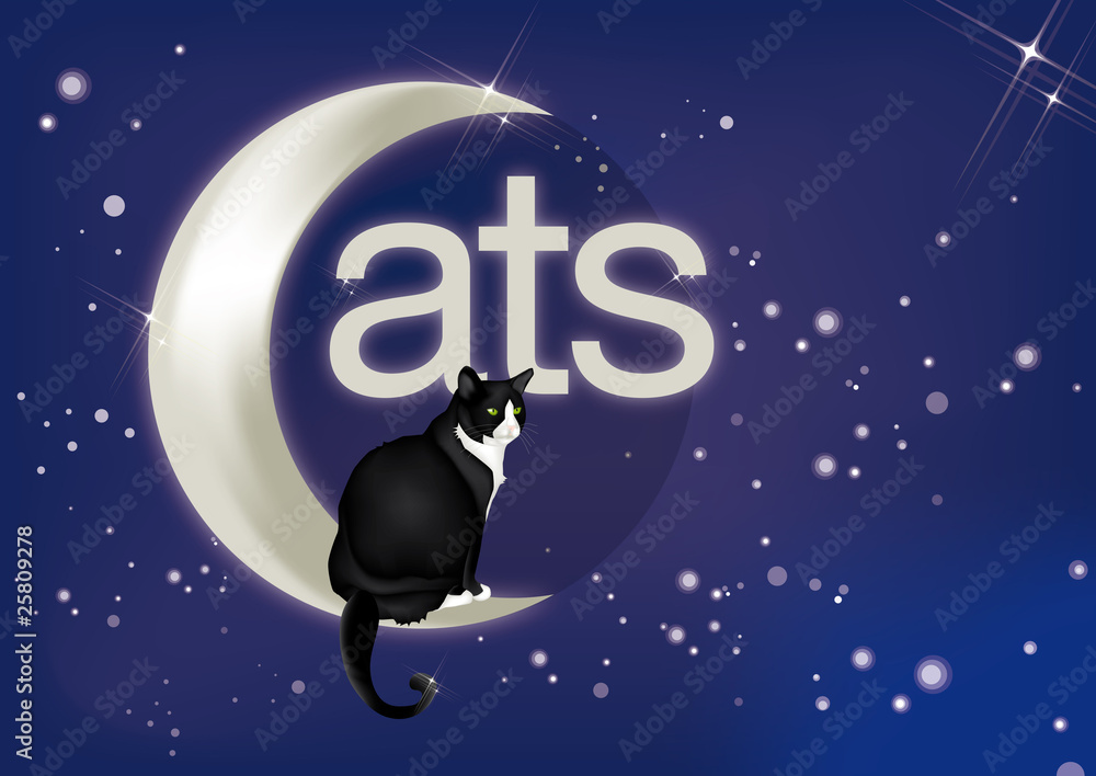 Fototapeta premium gatto su luna - CATS