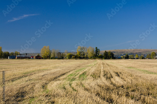 Autumn rural landsape
