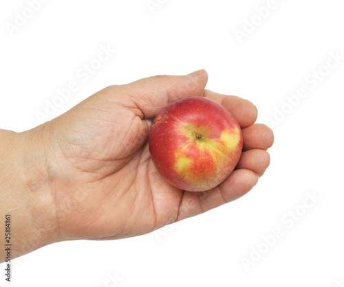 Apple in a hand