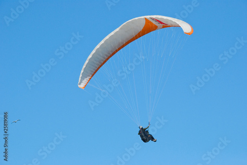 Paraglider Flying in the Blue