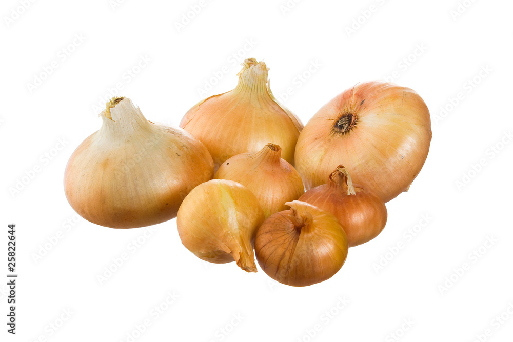 Fototapeta premium onion