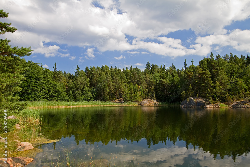 Fototapeta premium Idyllic lake in summer.