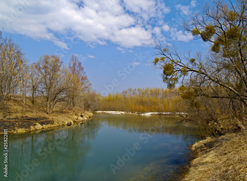 Landscape with the spring river