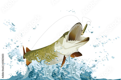 Hecht hat angebissen