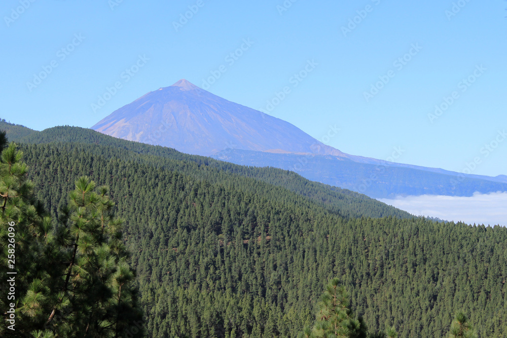 Fototapeta premium Teneriffa