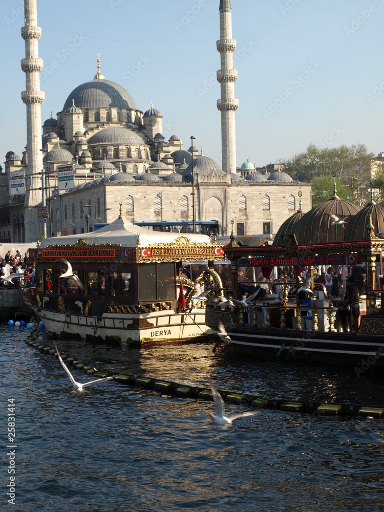 Naklejka premium PUERTO DE ESTAMBUL