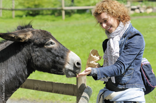 Shot of beautiful girl feeding donkey at zoo