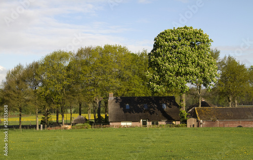 Farm