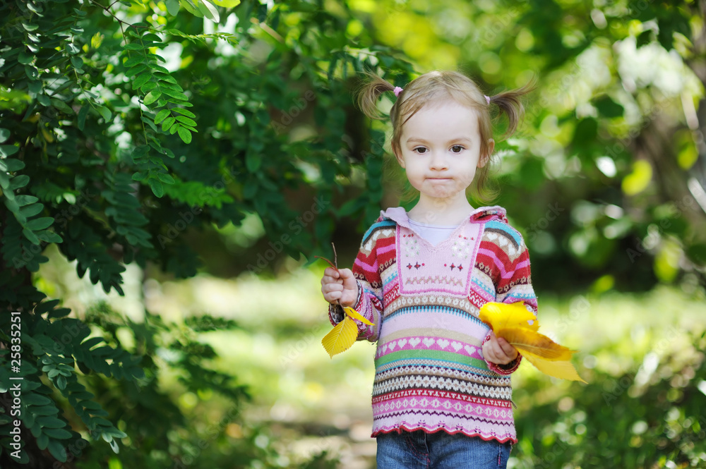 Adorable toddler in an autumn park Adorable toddler in an autumn park