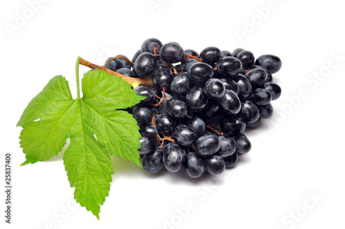 black grape with leaf