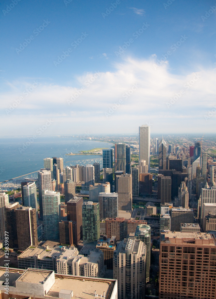 Fototapeta premium Downtown Chicago