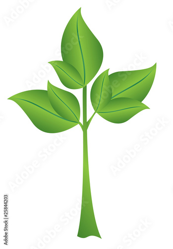 vector illustration - small green plant