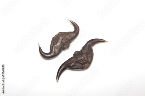 Schilderij op canvas caltrop