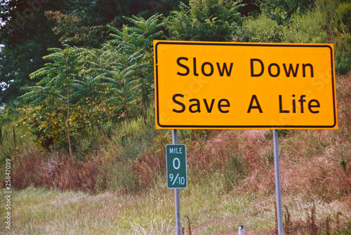 Slow Down, Save a Life