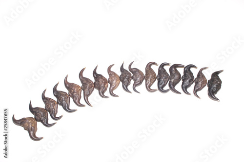 Foto caltrop