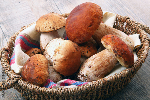 Fotografie porcini freschi