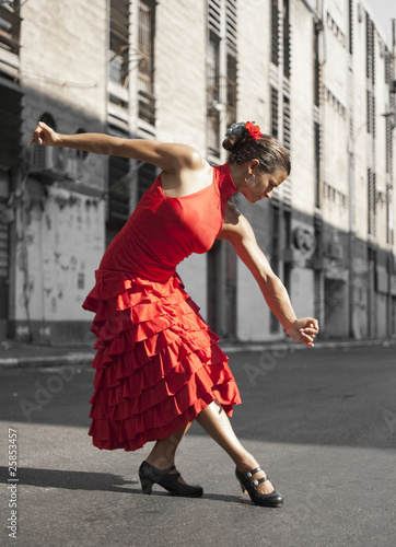 Flamenco Dancer red dress pose