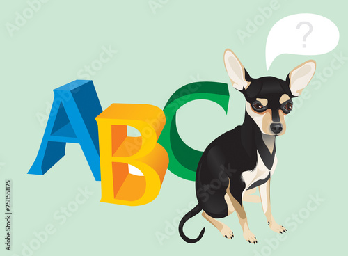 cute dog and capital letters