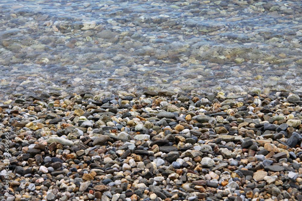pebbles leafs sea water tree stones autumn sea underwater pebbles leafs sea water tree stones autumn sea underwater