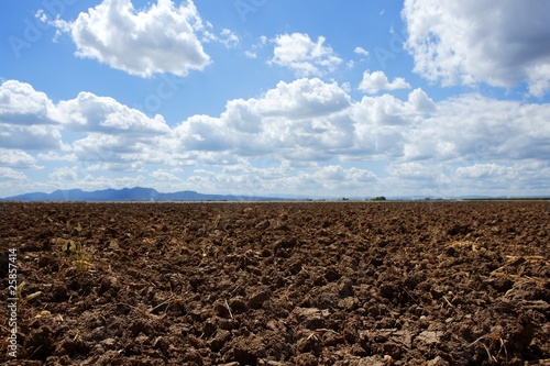 plough plowed brown clay field blue sky horizon