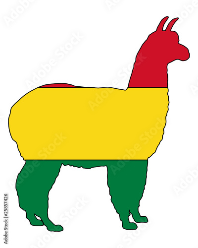 Bolivianisches Alpaka