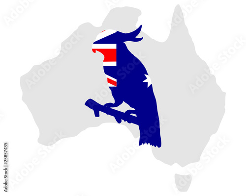 Australischer Kakadu