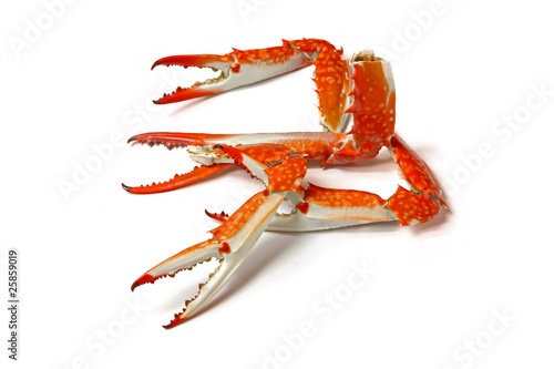 cooked crab