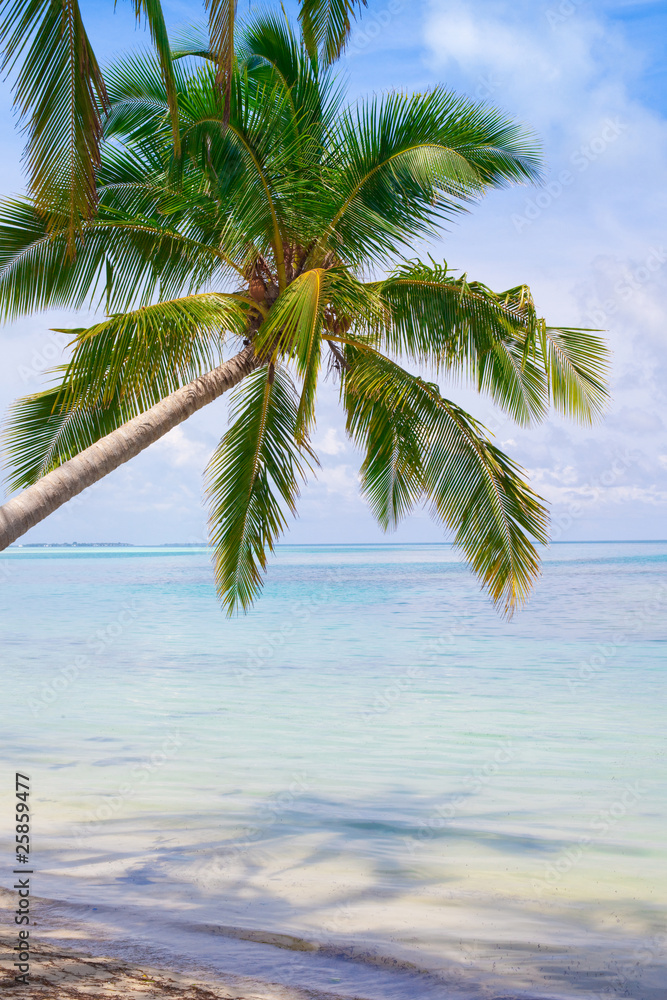 Fototapeta premium Holiday Paradise