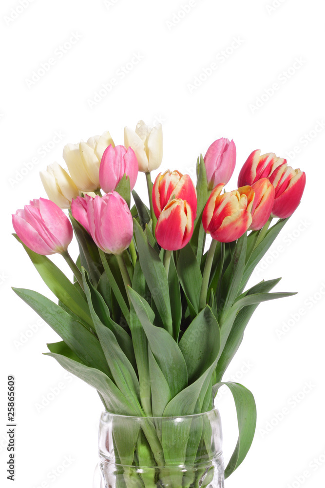 Fototapeta premium bukiet świeżych tulipanów