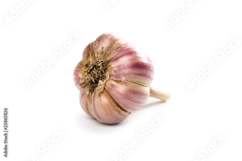 head of garlic