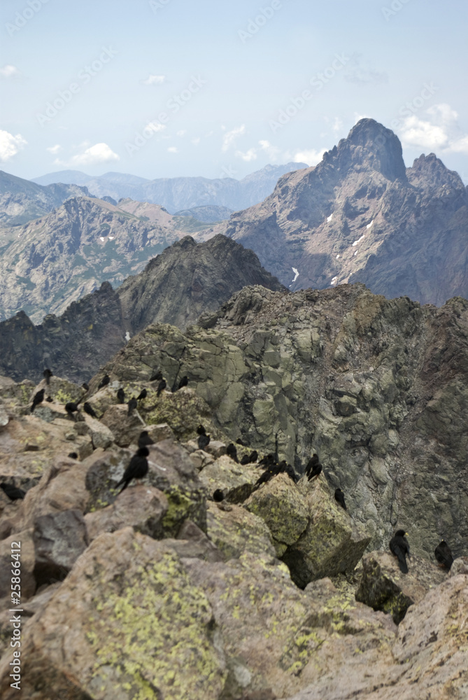 Corsica, panorama dalla Vetta del Monte Cinto (2707 m) 5