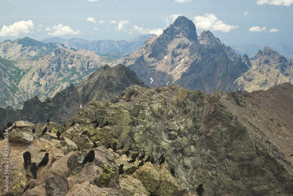 Corsica, panorama dalla Vetta del Monte Cinto ( 2707 m) 7