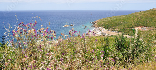 littoral algerien photo