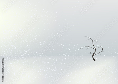 Single tree in the winter field