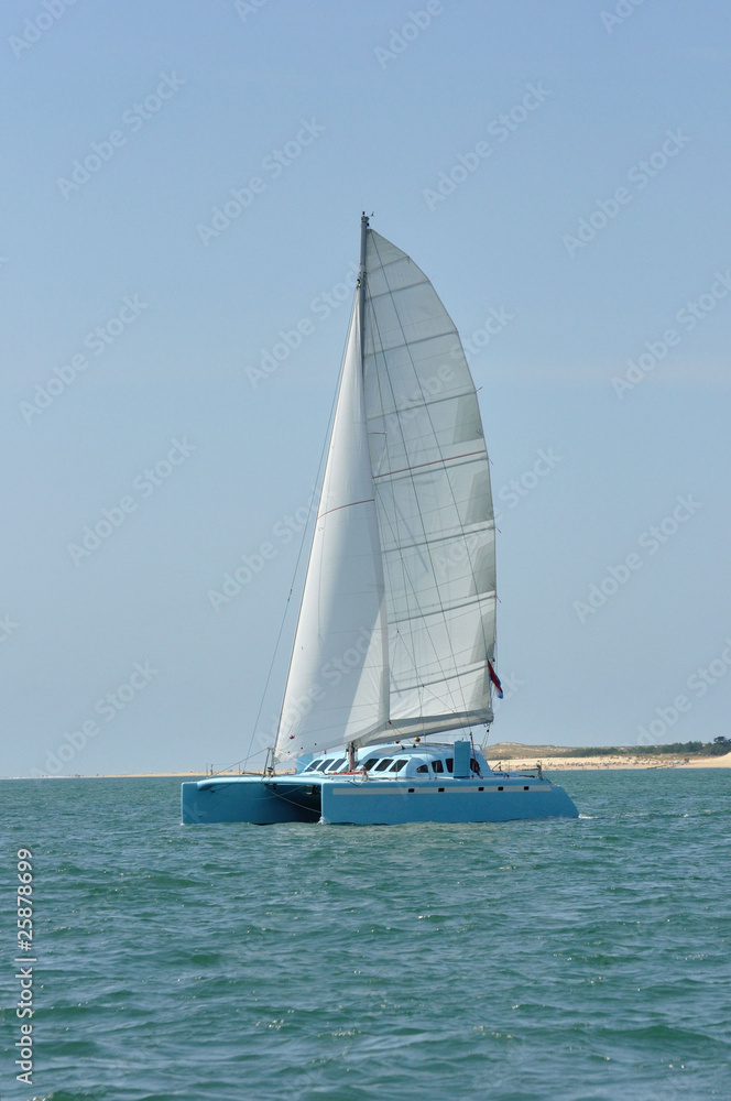 Fototapeta premium catamaran bleu